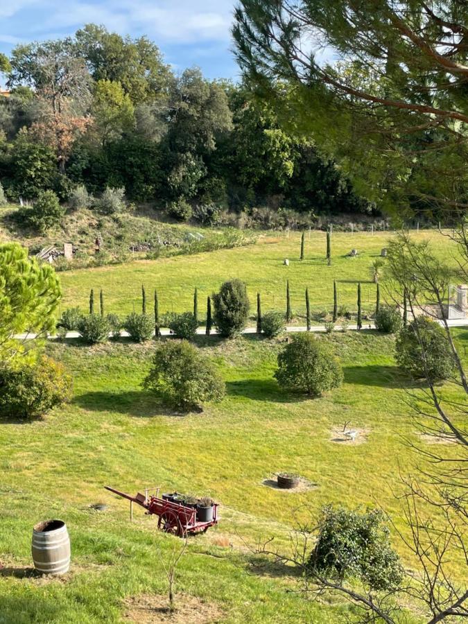 Resort Panoramico Canale Suite - Private Parking - Natural Park Sinalunga Exteriör bild